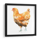 Pollo Salvaje Ii - Emma Scarvey | Cuadro decorativo de Canvas Lab