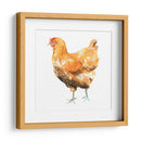 Pollo Salvaje Ii - Emma Scarvey | Cuadro decorativo de Canvas Lab