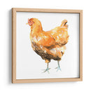 Pollo Salvaje Ii - Emma Scarvey | Cuadro decorativo de Canvas Lab