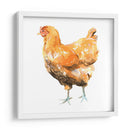 Pollo Salvaje Ii - Emma Scarvey | Cuadro decorativo de Canvas Lab