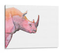 Sunset Safari Iii - Alicia Ludwig | Cuadro decorativo de Canvas Lab