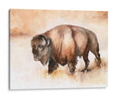 Buffalo Roam I - Jennifer Paxton Parker | Cuadro decorativo de Canvas Lab