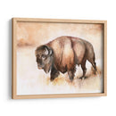 Buffalo Roam I - Jennifer Paxton Parker | Cuadro decorativo de Canvas Lab