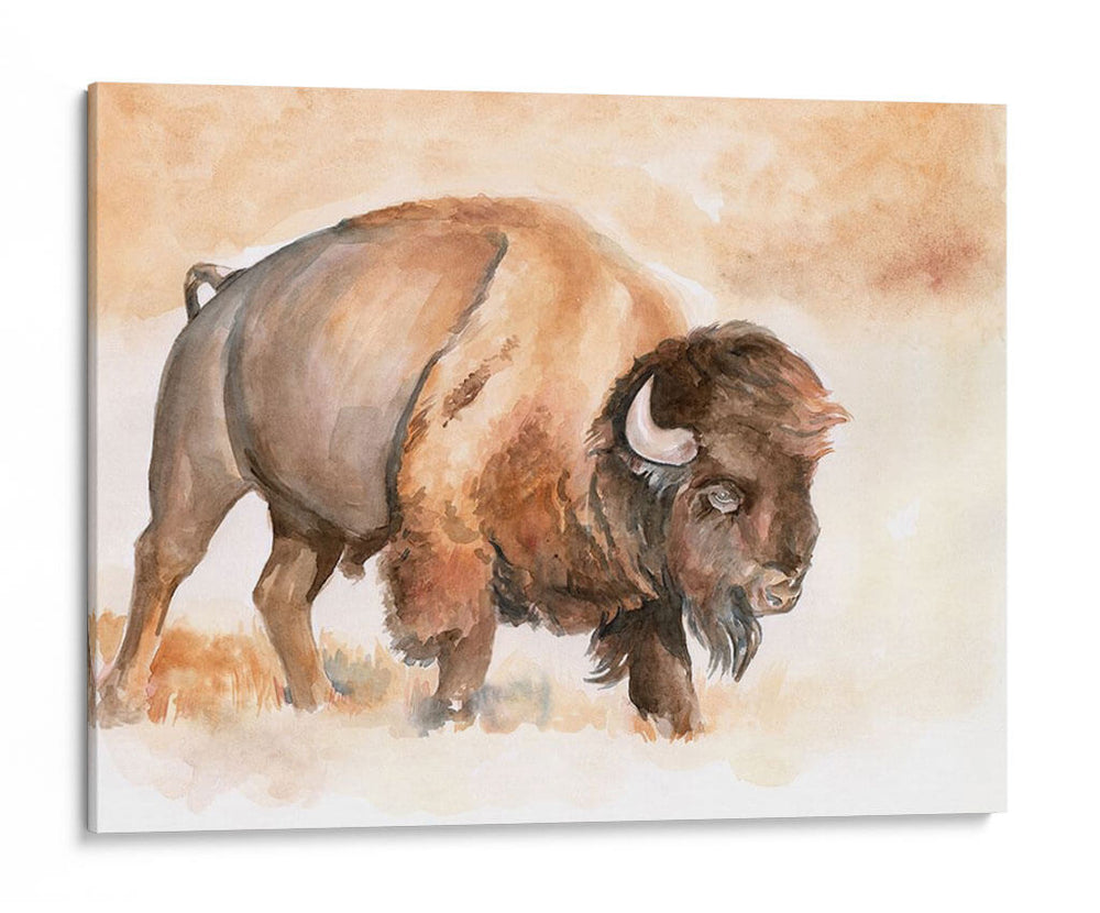 Buffalo Roam Ii - Jennifer Paxton Parker | Cuadro decorativo de Canvas Lab