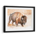Buffalo Roam Ii - Jennifer Paxton Parker | Cuadro decorativo de Canvas Lab