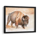 Buffalo Roam Ii - Jennifer Paxton Parker | Cuadro decorativo de Canvas Lab