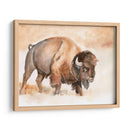 Buffalo Roam Ii - Jennifer Paxton Parker | Cuadro decorativo de Canvas Lab
