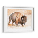 Buffalo Roam Ii - Jennifer Paxton Parker | Cuadro decorativo de Canvas Lab