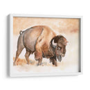 Buffalo Roam Ii - Jennifer Paxton Parker | Cuadro decorativo de Canvas Lab
