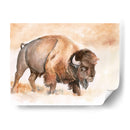 Buffalo Roam Ii - Jennifer Paxton Parker | Cuadro decorativo de Canvas Lab