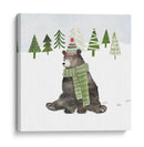 Woodland Navidad Iv - Victoria Borges | Cuadro decorativo de Canvas Lab