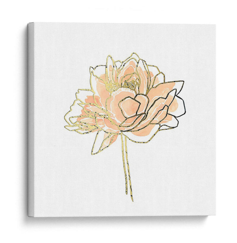 Foil Peony Contour I - Emma Scarvey | Cuadro decorativo de Canvas Lab