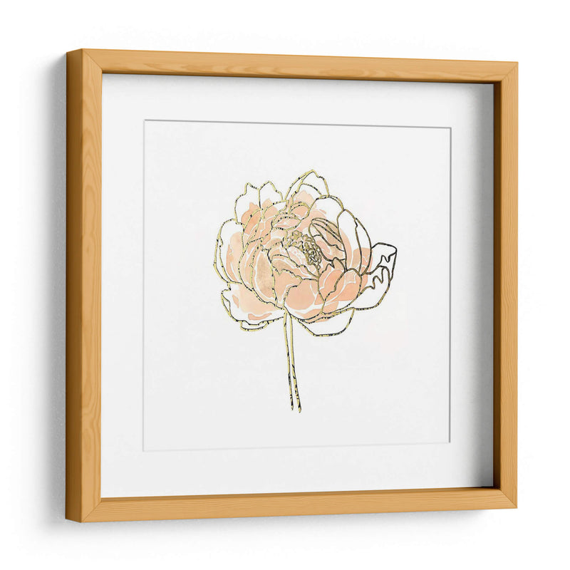 Foil Peony Contour Ii - Emma Scarvey | Cuadro decorativo de Canvas Lab