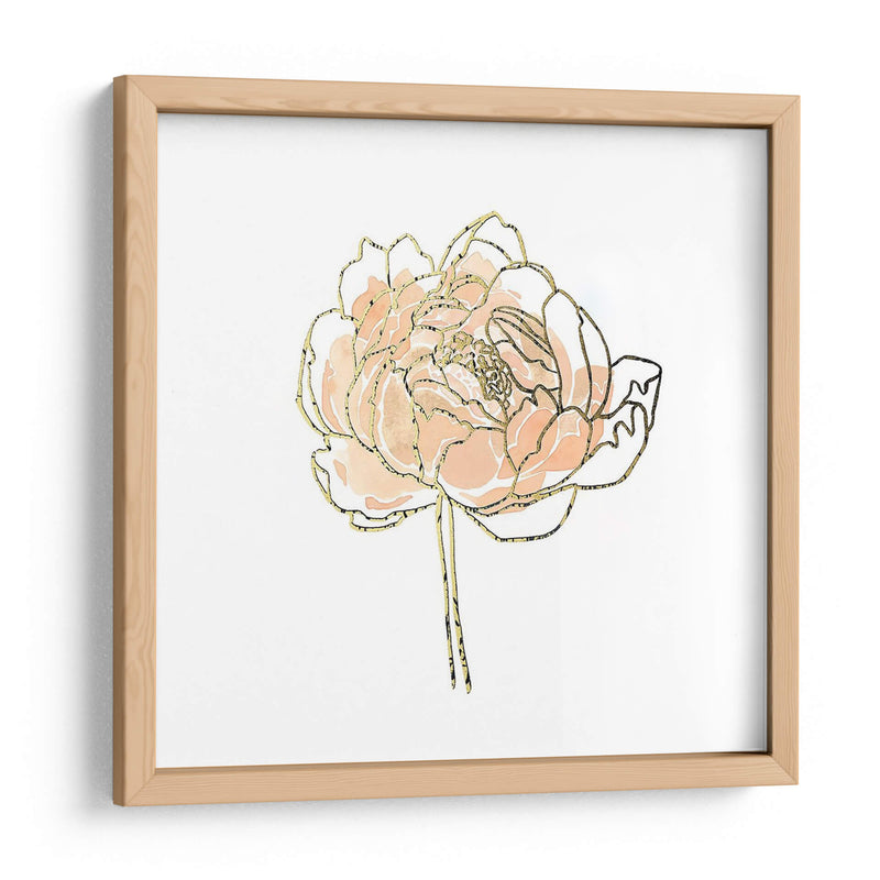 Foil Peony Contour Ii - Emma Scarvey | Cuadro decorativo de Canvas Lab