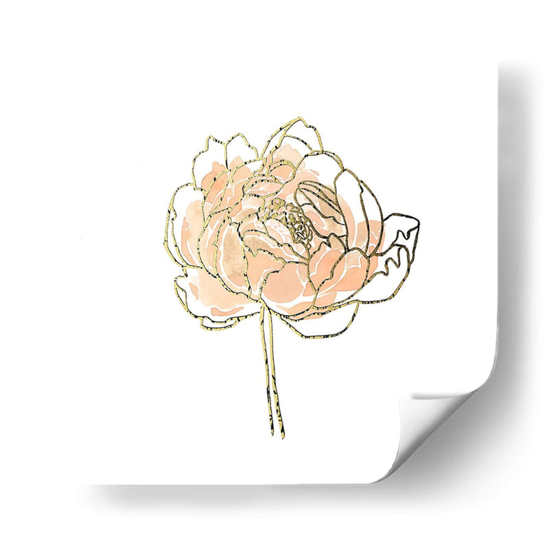 Foil Peony Contour Ii - Emma Scarvey | Cuadro decorativo de Canvas Lab