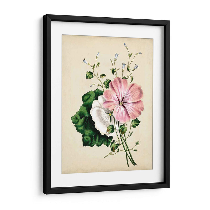 Natures Romance V - Vision Studio | Cuadro decorativo de Canvas Lab