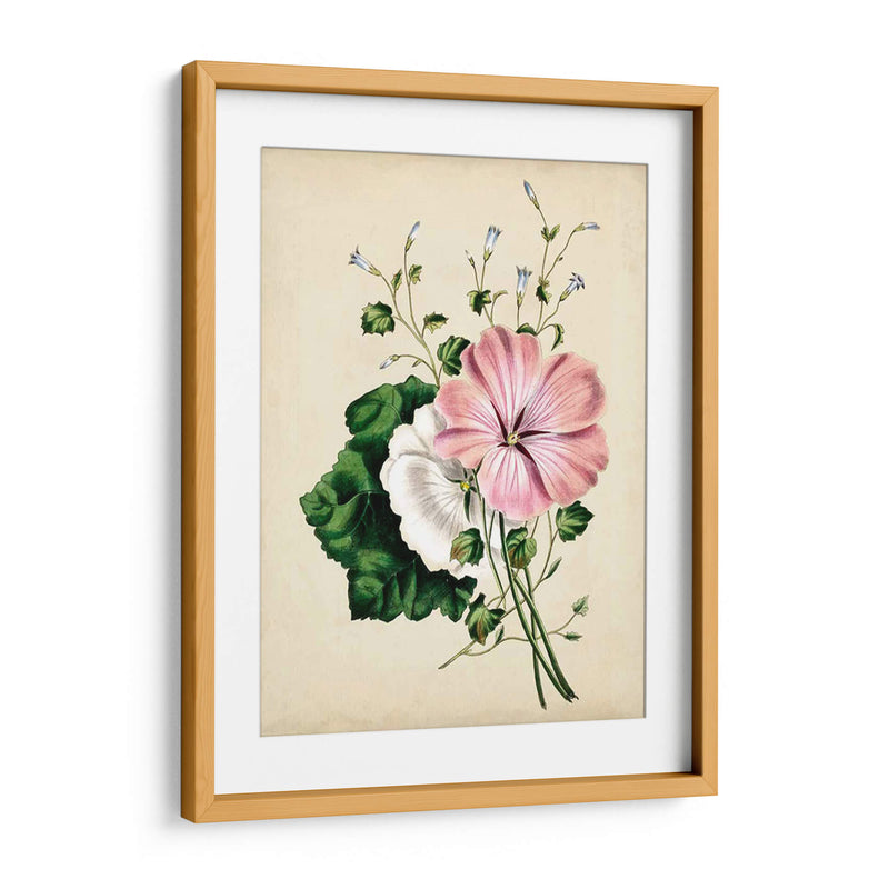 Natures Romance V - Vision Studio | Cuadro decorativo de Canvas Lab