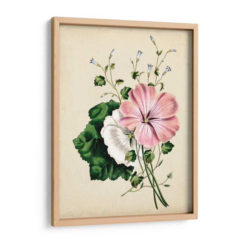 Natures Romance V - Vision Studio | Cuadro decorativo de Canvas Lab