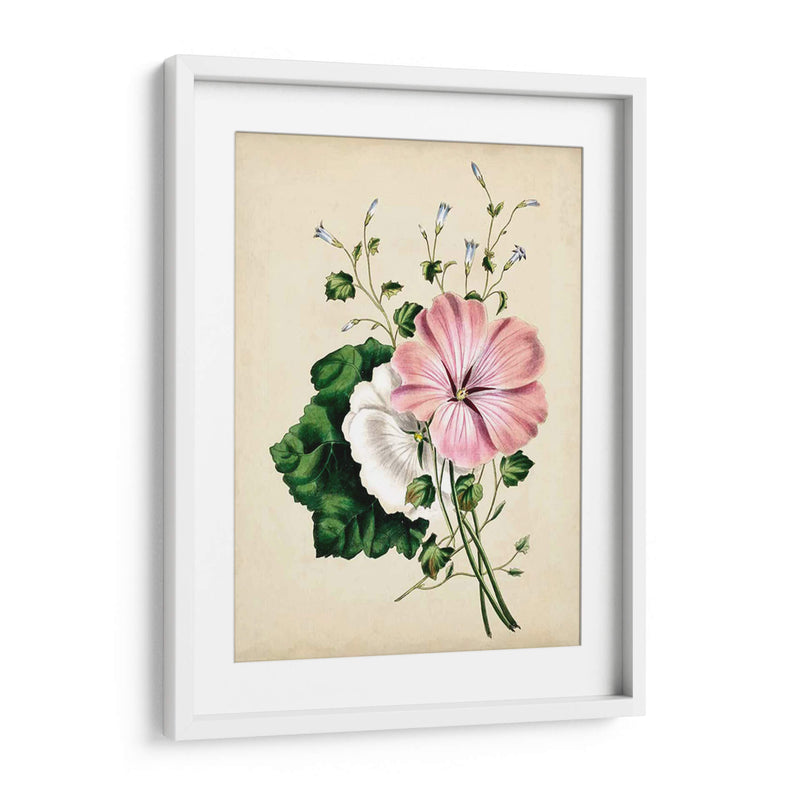 Natures Romance V - Vision Studio | Cuadro decorativo de Canvas Lab