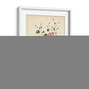 Natures Romance V - Vision Studio | Cuadro decorativo de Canvas Lab