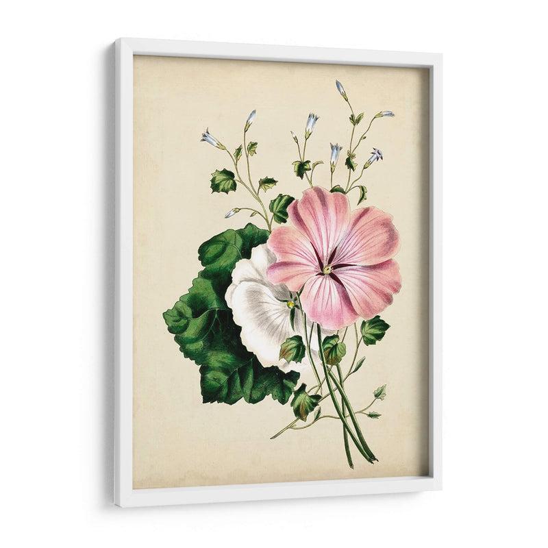 Natures Romance V - Vision Studio | Cuadro decorativo de Canvas Lab