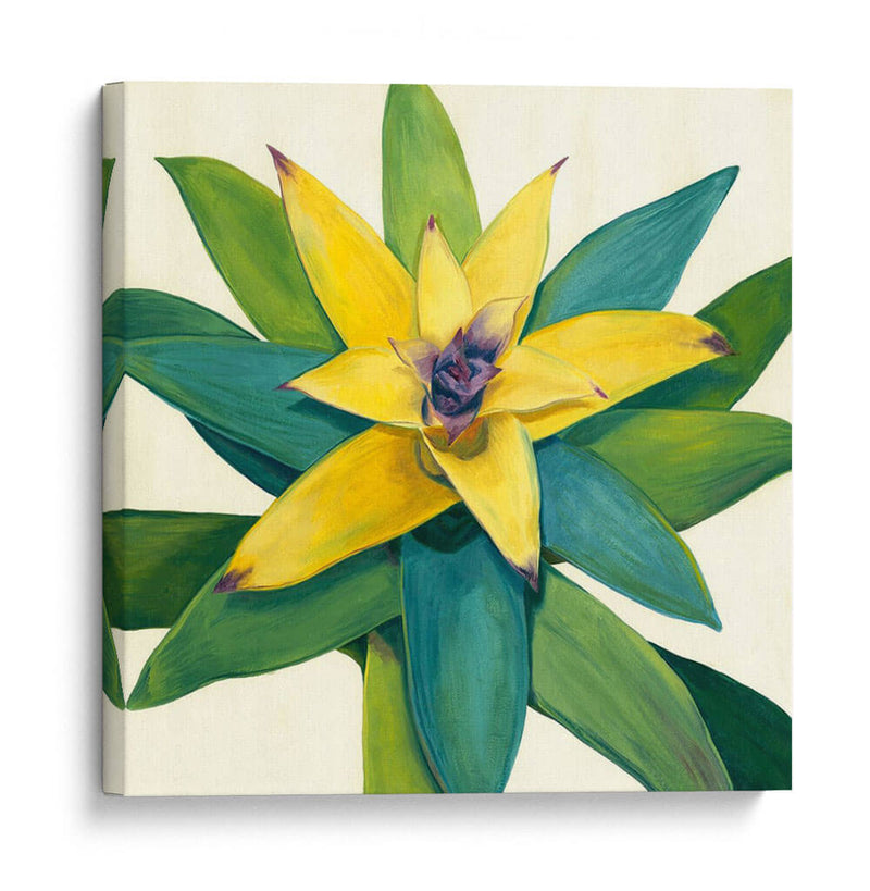 Bloom Tropical I - Megan Meagher | Cuadro decorativo de Canvas Lab