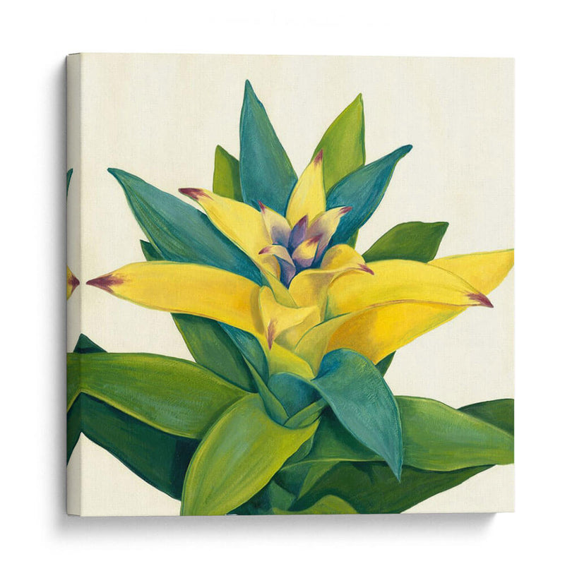 Bloom Tropical Ii - Megan Meagher | Cuadro decorativo de Canvas Lab