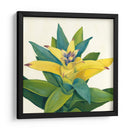 Bloom Tropical Ii - Megan Meagher | Cuadro decorativo de Canvas Lab