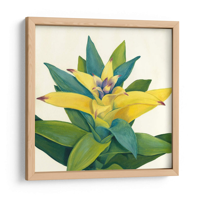 Bloom Tropical Ii - Megan Meagher | Cuadro decorativo de Canvas Lab