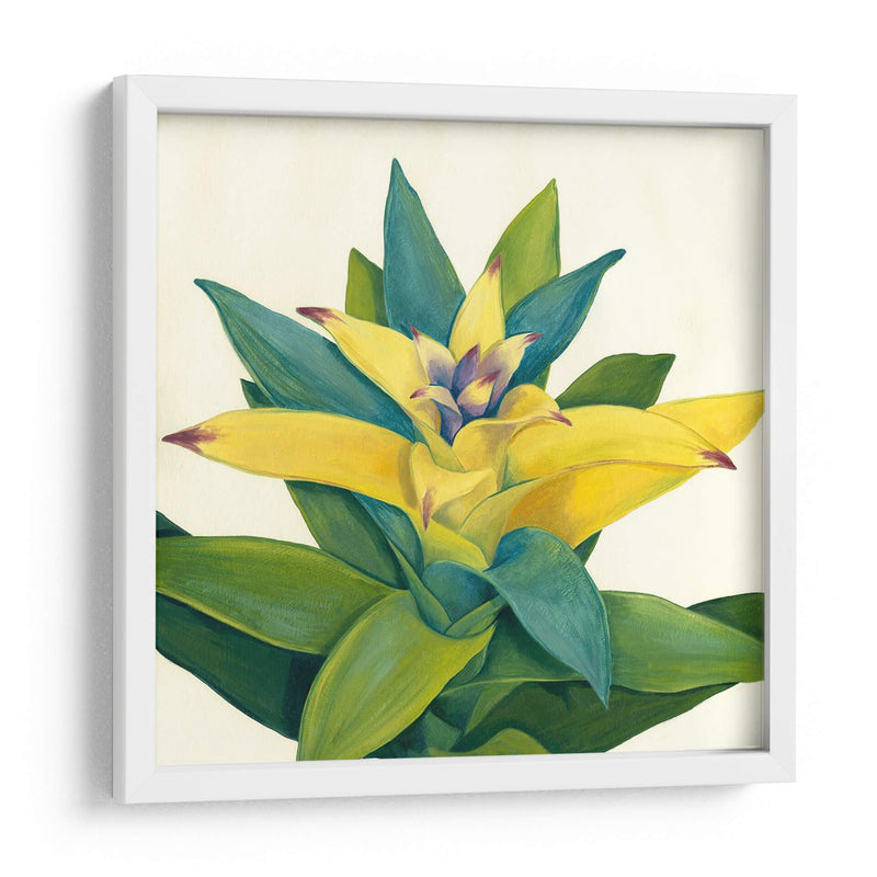 Bloom Tropical Ii - Megan Meagher | Cuadro decorativo de Canvas Lab