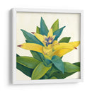 Bloom Tropical Ii - Megan Meagher | Cuadro decorativo de Canvas Lab