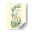 Pequeñas Libélulas De Gossamer I - Chariklia Zarris | Cuadro decorativo de Canvas Lab