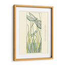 Pequeñas Libélulas De Gossamer Ii - Chariklia Zarris | Cuadro decorativo de Canvas Lab
