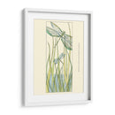 Pequeñas Libélulas De Gossamer Ii - Chariklia Zarris | Cuadro decorativo de Canvas Lab