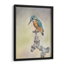 Glory Bird Ii - Georges Cuvier | Cuadro decorativo de Canvas Lab