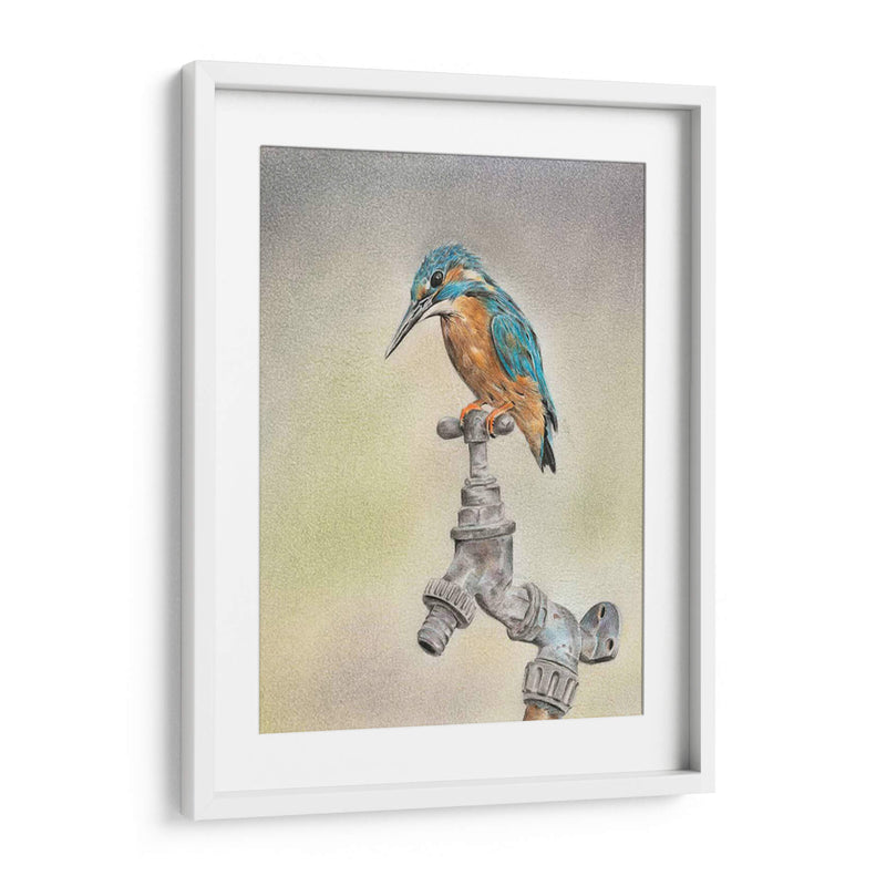 Glory Bird Ii - Georges Cuvier | Cuadro decorativo de Canvas Lab