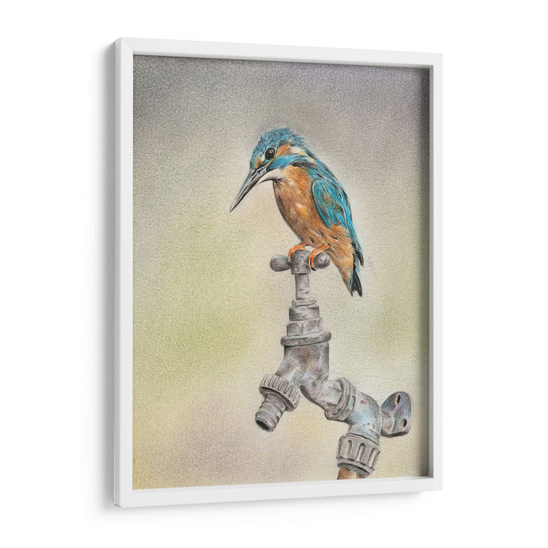 Glory Bird Ii - Georges Cuvier | Cuadro decorativo de Canvas Lab