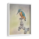Glory Bird Ii - Georges Cuvier | Cuadro decorativo de Canvas Lab