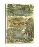 Viñeta Fishermans I - Vision Studio | Cuadro decorativo de Canvas Lab