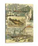 Viñeta Fishermans Ii - Vision Studio | Cuadro decorativo de Canvas Lab