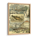 Viñeta Fishermans Ii - Vision Studio | Cuadro decorativo de Canvas Lab