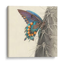 Majestuosa Mariposa I - Georges Cuvier | Cuadro decorativo de Canvas Lab