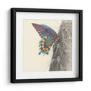 Majestuosa Mariposa I - Georges Cuvier | Cuadro decorativo de Canvas Lab