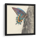 Majestuosa Mariposa I - Georges Cuvier | Cuadro decorativo de Canvas Lab