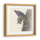Majestuosa Mariposa I - Georges Cuvier | Cuadro decorativo de Canvas Lab