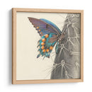 Majestuosa Mariposa I - Georges Cuvier | Cuadro decorativo de Canvas Lab