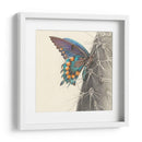 Majestuosa Mariposa I - Georges Cuvier | Cuadro decorativo de Canvas Lab