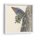 Majestuosa Mariposa I - Georges Cuvier | Cuadro decorativo de Canvas Lab