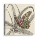 Majestuosa Mariposa Iii - Georges Cuvier | Cuadro decorativo de Canvas Lab