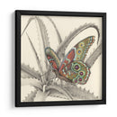 Majestuosa Mariposa Iii - Georges Cuvier | Cuadro decorativo de Canvas Lab